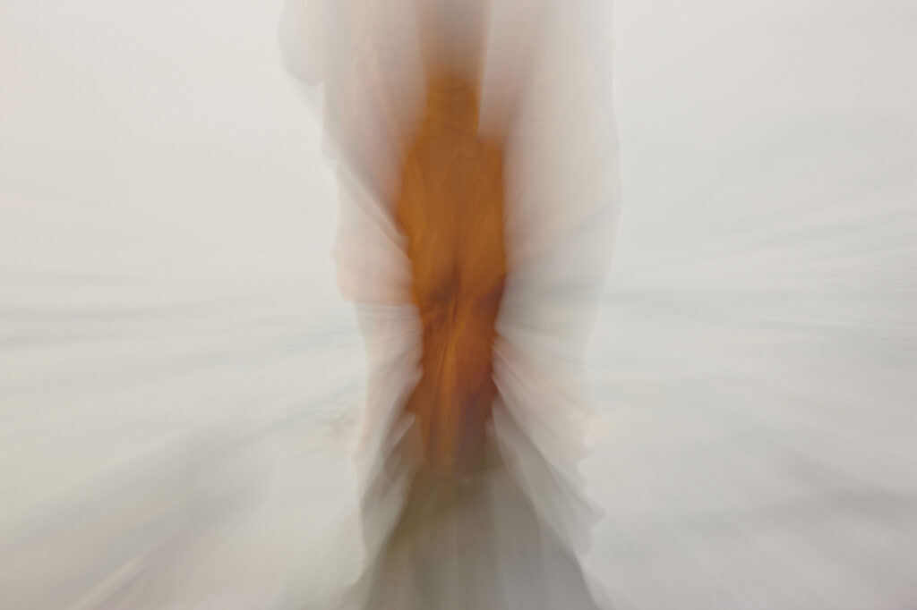 Afrodite, Veronica Gaido