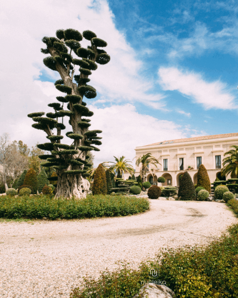 Parco Botanico Radicepura _Nucleika