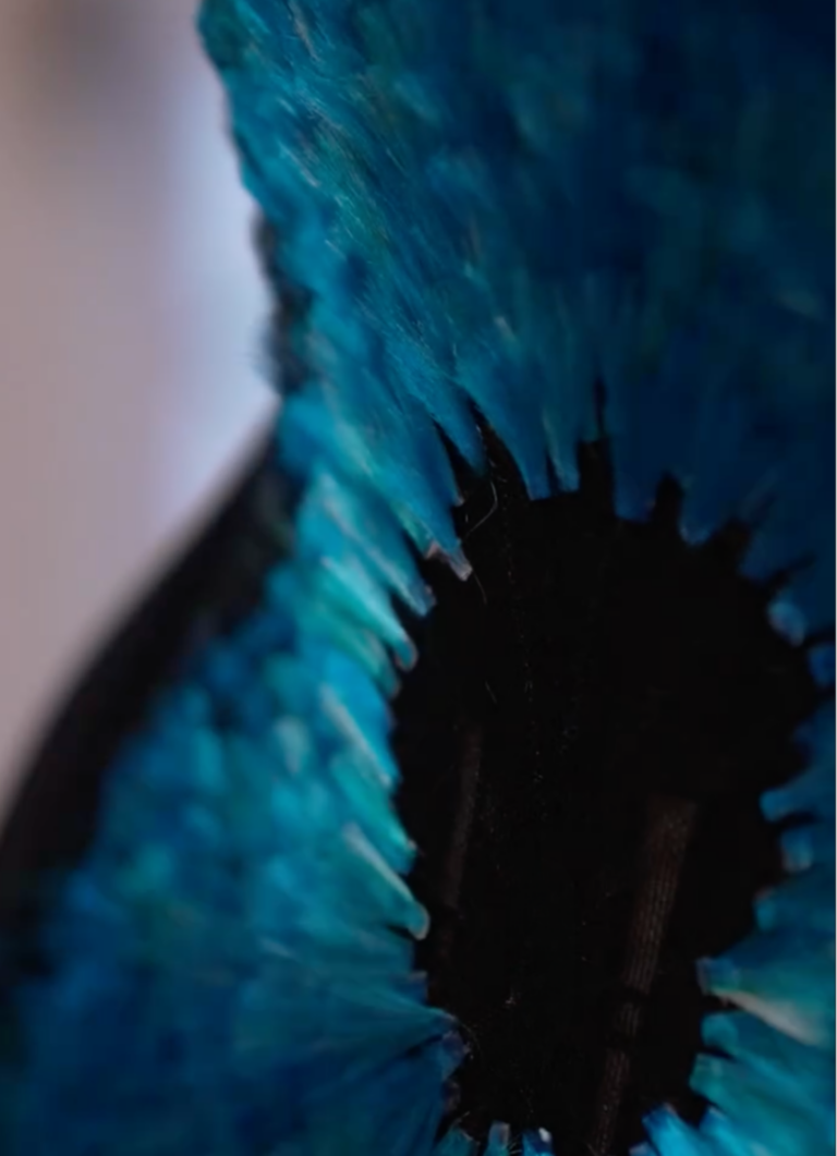 @Schiaparelli