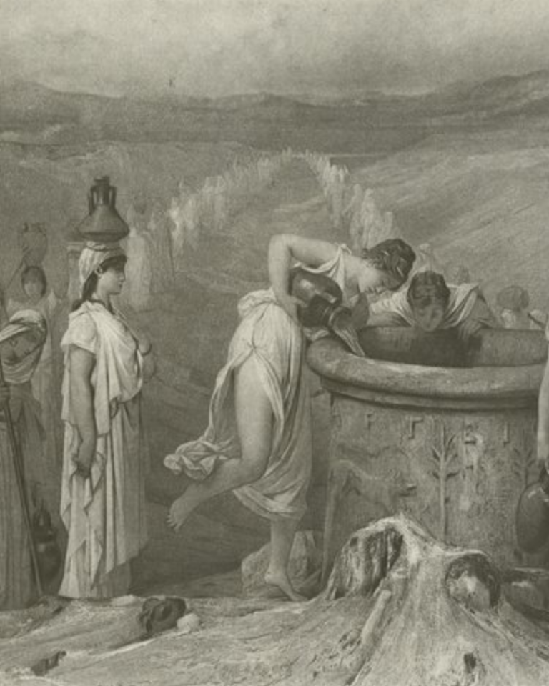 @wikimedia